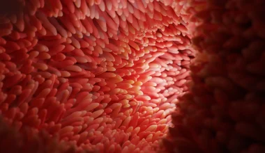 gut microbiome
